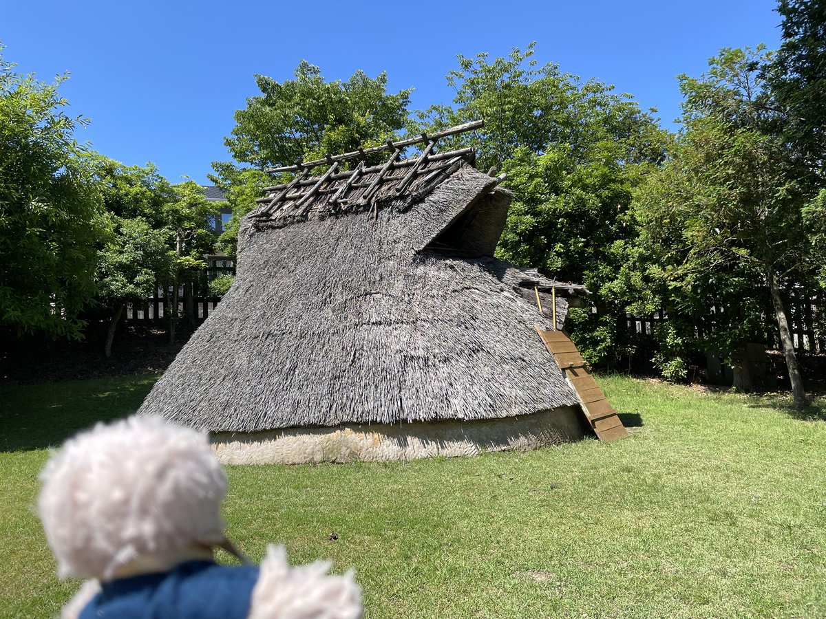 元シャチの冒険➡︎今はカルルの新しい冒険。 tweet media