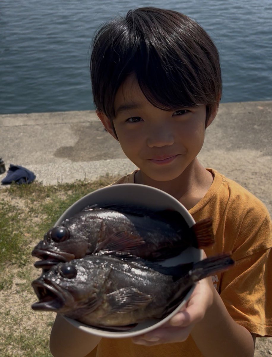 kenbonchi's tweet photo. 【9歳が挑戦】カサゴを捌いて煮付けにしたらでらうまでした！#shorts
https://t.co/cYzDkJziTl https://t.co/HnUS08iWNX