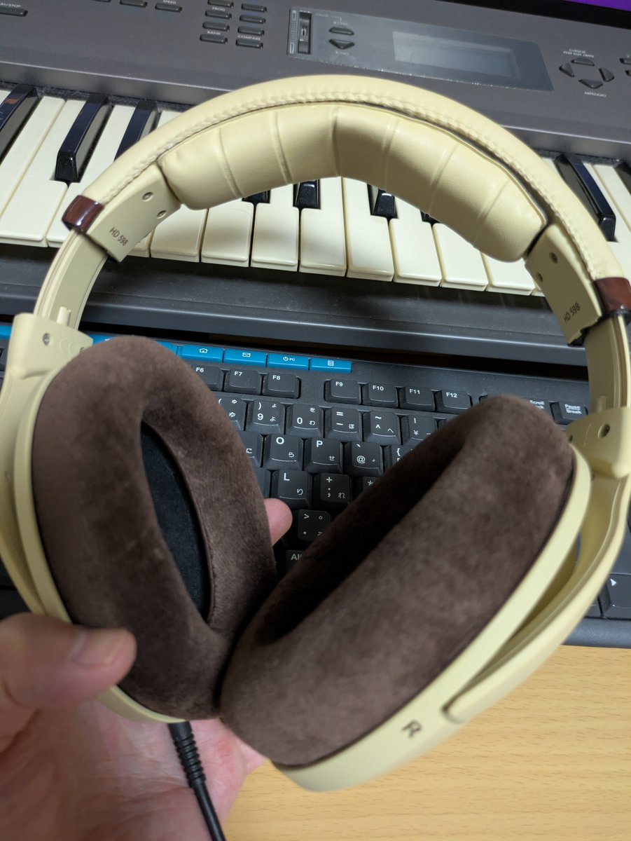 Hatake614's tweet photo. 結局換えました。
交換前後で聴き比べた結果、余計な超低域がカットされて解像度が上がった気がする、という主観性全開の感想。
本当は、あのスケキヨみたいなマネキンの頭使って、周波数特性をちゃんと測って吟味してみたいですけどね。 https://t.co/7mAFO3SPIV