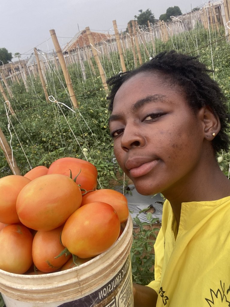 Tee🧑‍🌾 tweet media