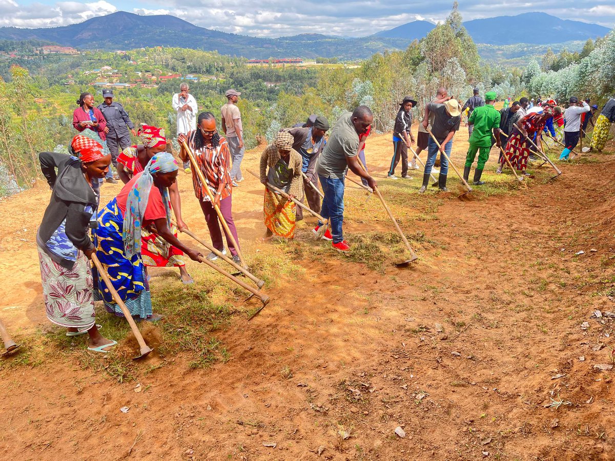 RwandaParliamnt's tweet photo. Uyu munsi, mu Turere 27, mu Ntara zose, Abadepite bifatanyije n’abaturage mu muganda rusange, muri gahunda y’igikorwa barimo cyo kwegera abaturage mu gihugu hose.
#DepiteMuBaturage https://t.co/gDoUH5sFKC