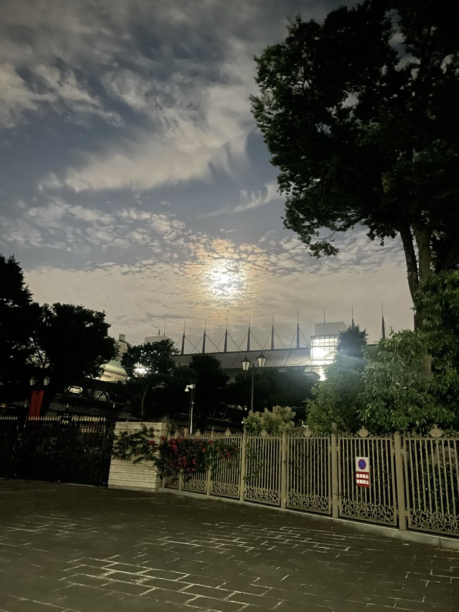 m_mn2g's tweet photo. 仕事終わってから
いつものウォーキングコース
東京競馬場外周へ🚶
さすがにダービー前日
徹夜組がいますね！
暑すぎず寒すぎず
野宿？には快適な気候ですね。
私のひと口馬は
今年もダービー不出走！
って言うかデビューすらしてない😅
果たして未勝利戦に間に合うのか😇 https://t.co/ABGGAWnGnb