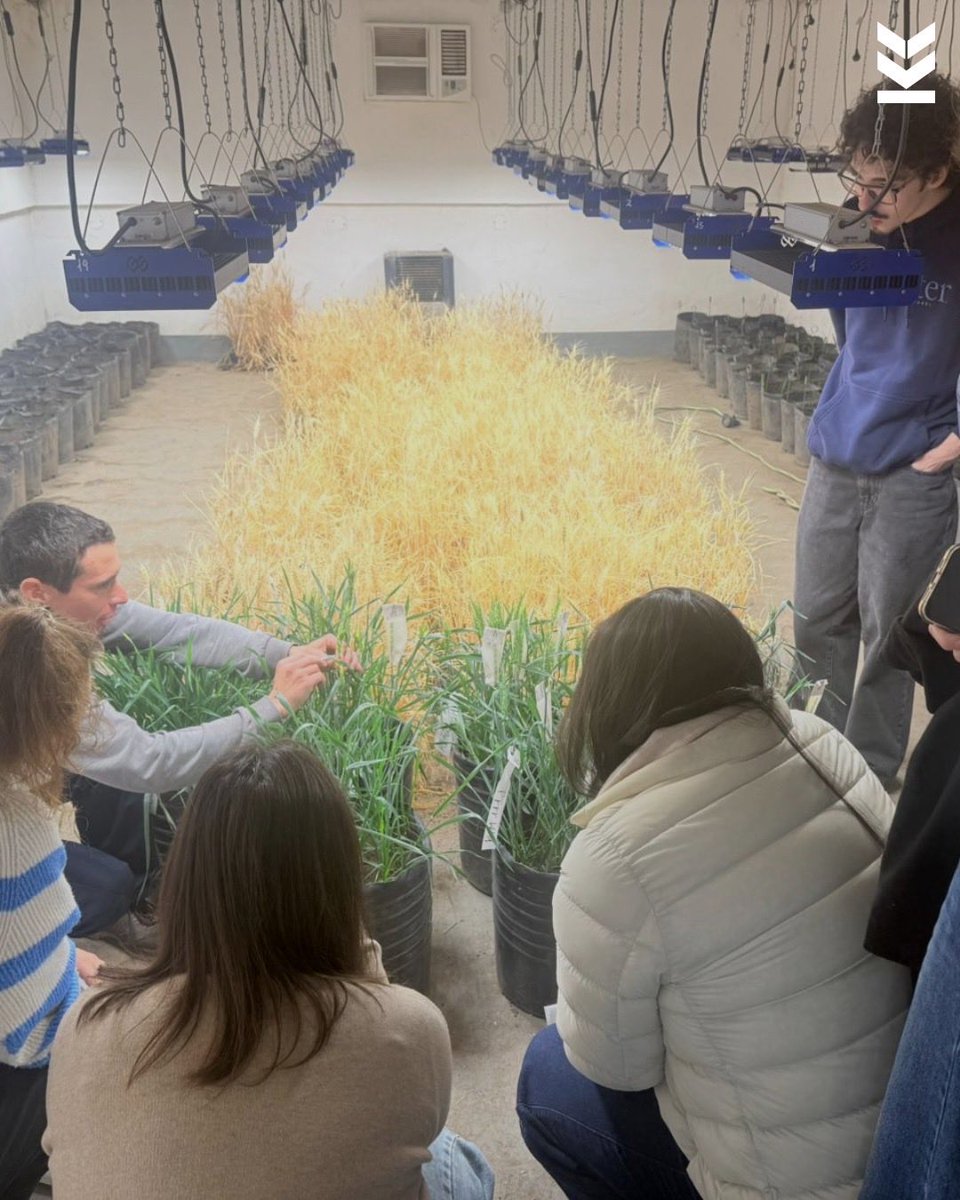 kleinsemillas's tweet photo. VISITA ITBA 🌾
Días atrás tuvimos el agrado de recibir en Criadero Klein a estudiantes del primer año de la Ingeniería en Biotecnología del ITBA  🧬🙌🏼
 
¡Gracias por visitarnos!🫂

#kleinsemillas #genéticaklein #campoargentino #criaderoklein #rinde https://t.co/z0PtPHFJzL