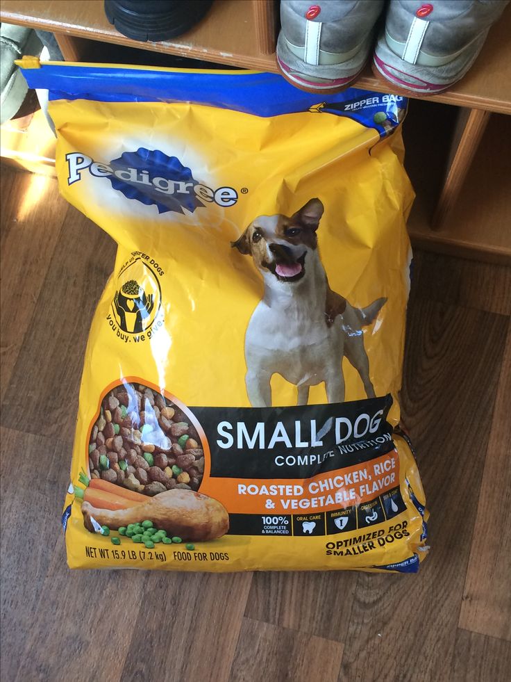 MMusk31977's tweet photo. 🐕 Feed Them Right, Watch Them Thrive.
Pedigree dog food is packed with essential nutrients, vitamins, minerals, and protein to help keep dogs healthy, active, and happy.
DM if you're looking for healthy pets and trusted pet food. 📩
#Pedigree #DogFood #PetSupplies  #PetLovers https://t.co/qXvzIhwJmJ