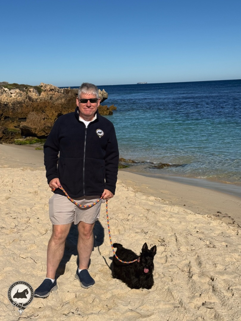 dumbartonscotts's tweet photo. When we were in Perth a few weeks ago, I took Perdita (Dita or Deets) to a local dog beach and a walk along the promenade. The weather was so pleasant 🌞🌊⛱️ https://t.co/zt0COQwoCX https://t.co/gzXozDwKs6