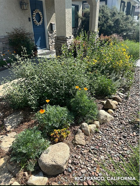 NWF's tweet photo. Wildlife gardens don't have to look messy. 🏡

Did you know that habitat gardens can easily mimic the style of traditional gardens? 👀

Learn how to make your wildlife garden look intentional in our new resource 📲: https://t.co/0TfL6fxv1h https://t.co/6MLaMzYKRs