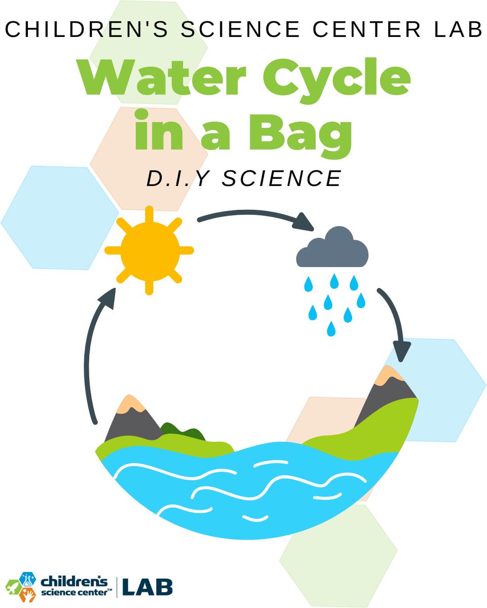 ChildSci's tweet photo. Have you ever wondered how water gets from a lake or ocean back into the sky to fall as rain? 🌊 That is the work of Earth’s water cycle! The water cycle ensures that water stays in a constant loop between Earth’s surface and the sky! 💧 https://t.co/Y12YczVt5P https://t.co/ym5MEZdJHW