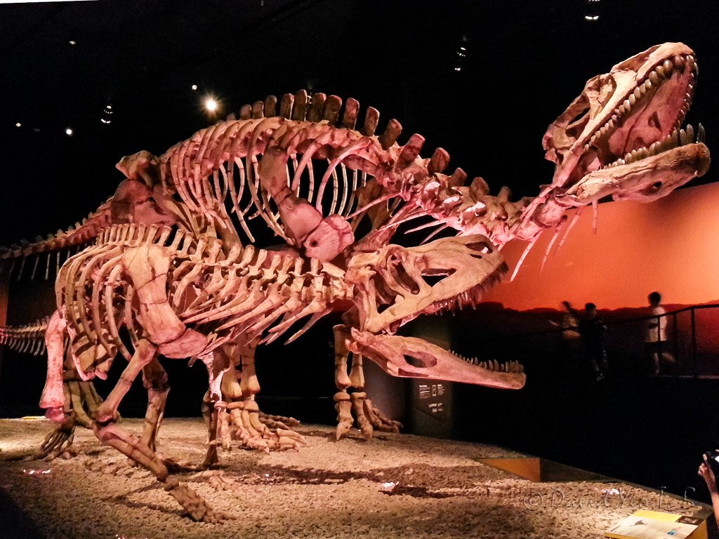 Taylor McCoy 🦖 tweet media