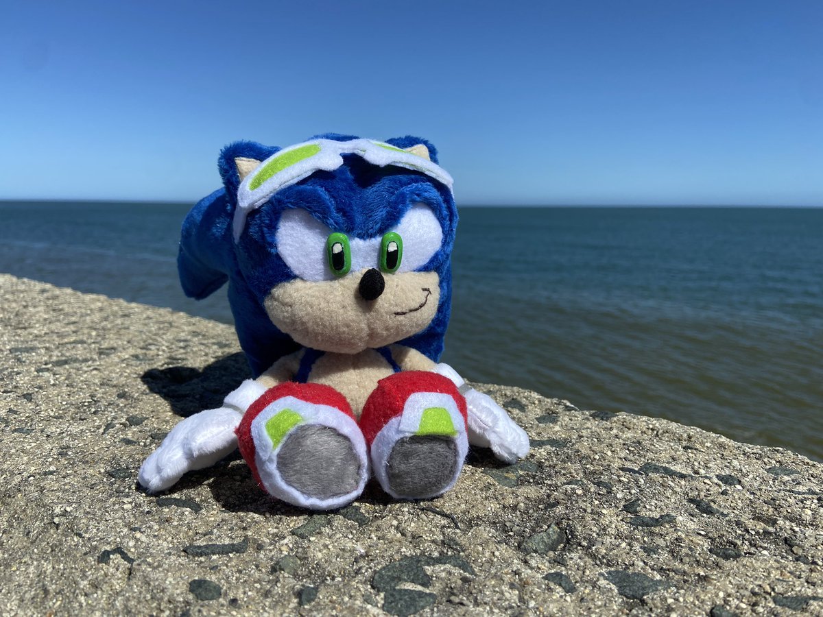 exitstarz's tweet photo. Custom Sonic Riders plush! https://t.co/nO4tWlg0hT