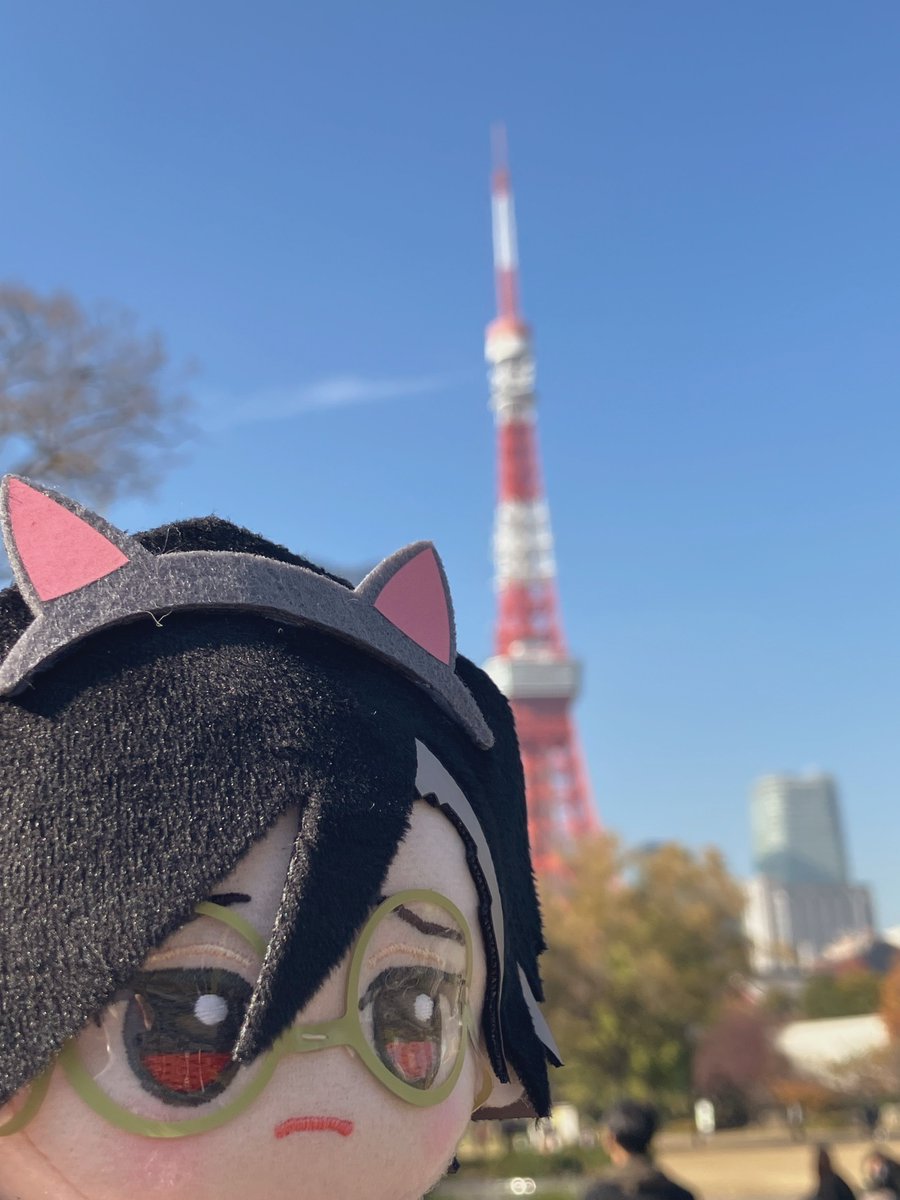 鯖の味噌煮込み這子 tweet media