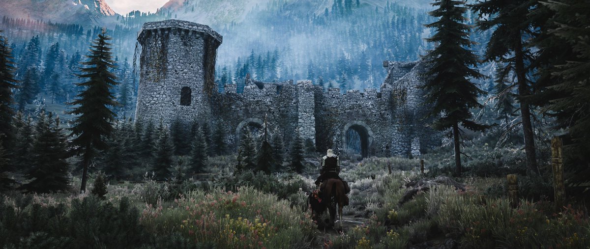 Ruleerx's tweet photo. The Witcher 3 https://t.co/xZUADUNqkO