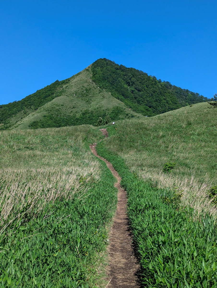 HumchanH's tweet photo. 今日は昨晩から車中泊して岡山の蒜山三山を縦走してきました⛰️
思っていたよりキツかったですがお天気も良く最高の一日でした✨
今夜は地元の人気店でテイクアウトしてきたひるぜん焼きそばで一杯やります🍻🤤
優待は東海カーボンからコモパンが段ボール箱一杯分到着🥐 https://t.co/gUuNoaOhen