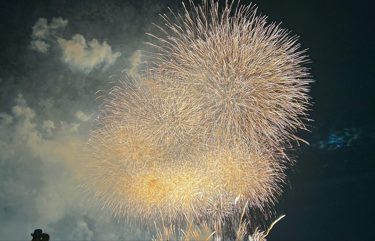 riyuu_neko's tweet photo. 花火ほんと最高でした…🎇 https://t.co/BIgEwkBqlI