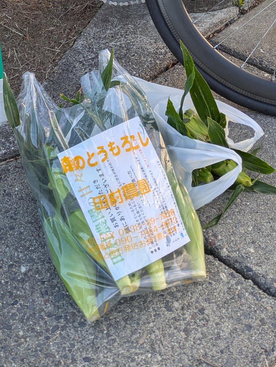anan_fufu's tweet photo. とうもろこしライドって
皆で朝、キャッキャ言いながら買いに行くんだろなと思ってたら、
とうもろこしを背負ってゼーハー言いながら走らされるライドだった

〜森町〜春野町〜船明ダム〜

平均3倍、斜度と共に5〜6倍＋αとかマジヤメテヨ https://t.co/sOwshbhHmD