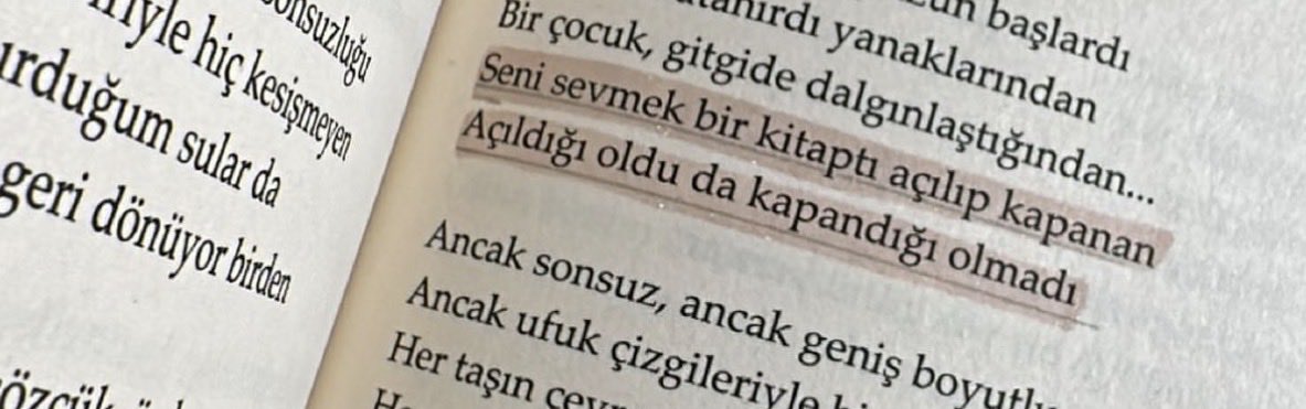 zena tweet media