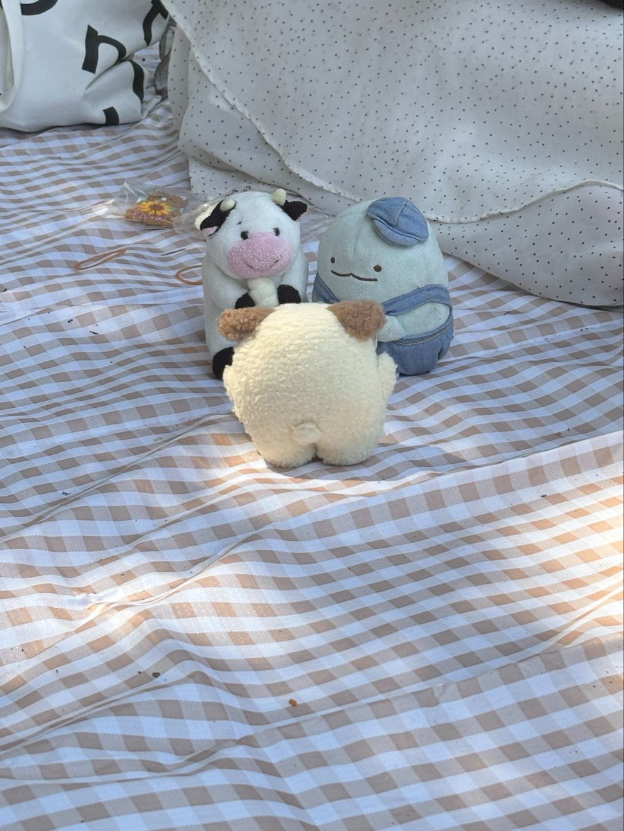 みー🧸 tweet media