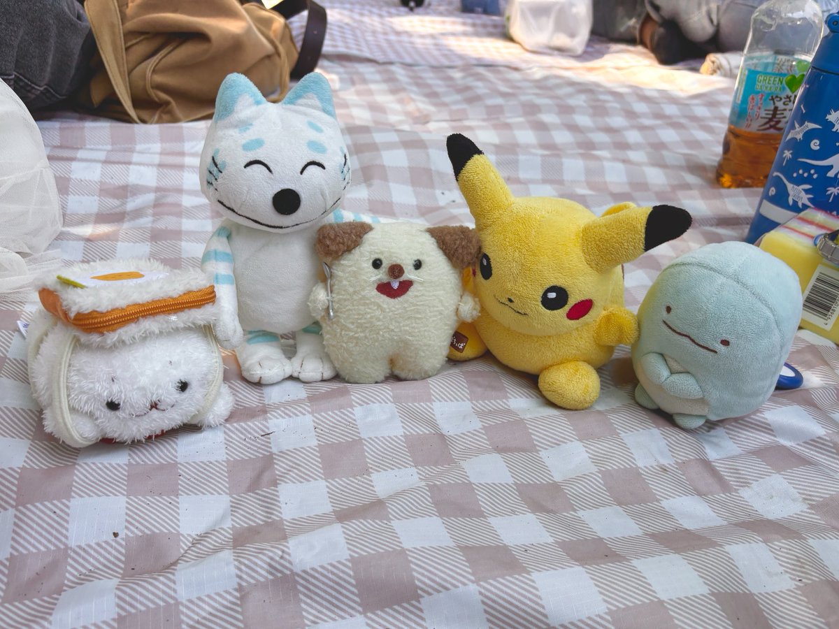 みー🧸 tweet media