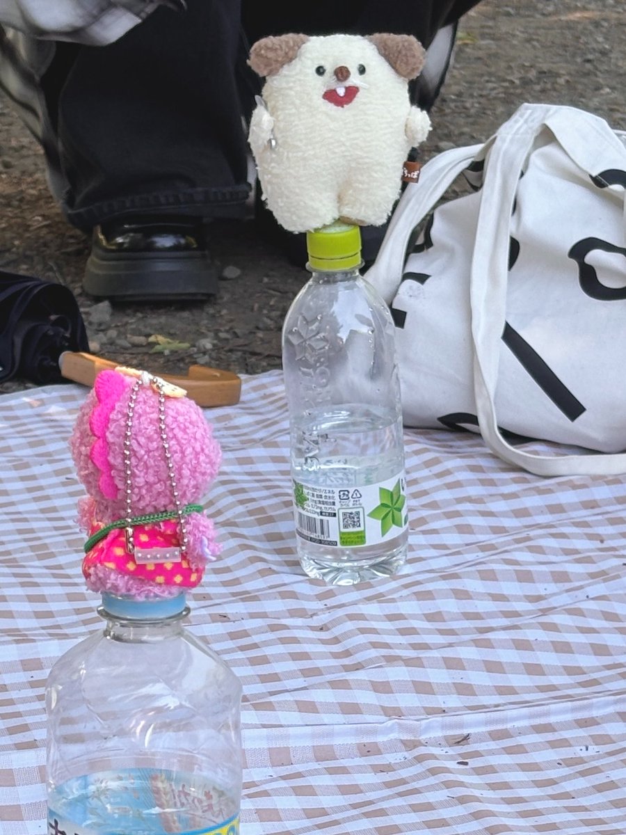 みー🧸 tweet media