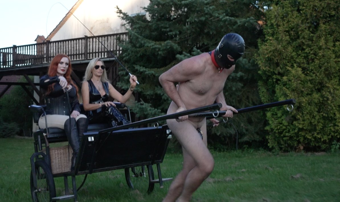 devoted2myANGEL's tweet photo. @LadyDarkAngelUK and @morriganhel54 preserving their heels enjoy riding in a carriage pulled by a #ponyboy enouraging him with their whips and directions while a slave runs alongside with their belongings

#ponyplay

https://t.co/fkakUC68Q7

@RTDoms @dommes_rt https://t.co/UAaGuBfO6b