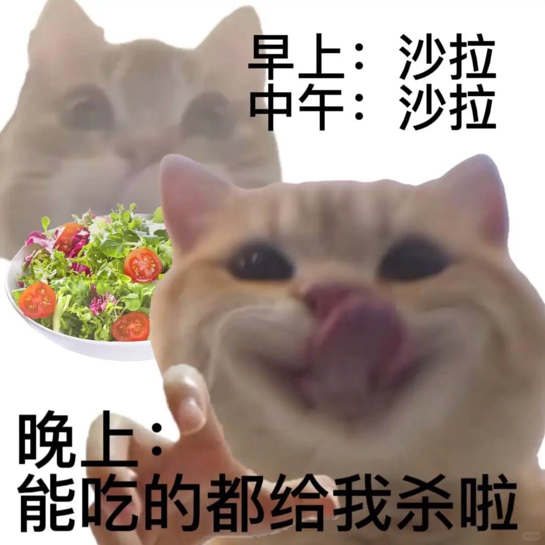 小老鼠 tweet media