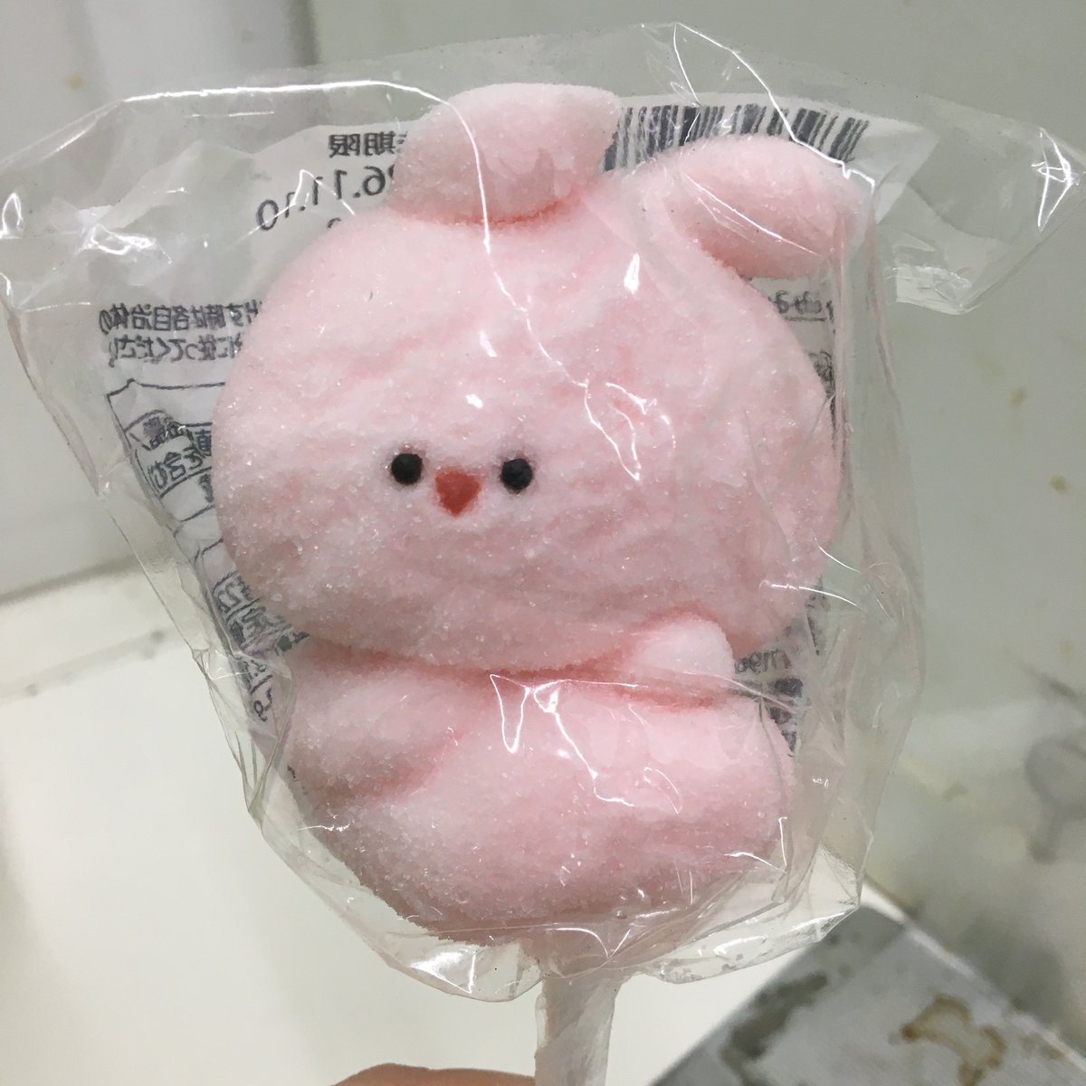 ayano_resta's tweet photo. 出勤🐰

40円で買ったマシュマロ☁️ https://t.co/hTGEHGyPj0