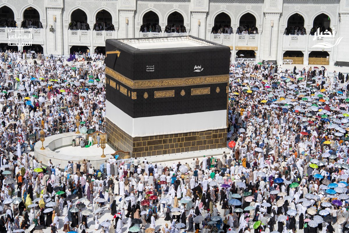 أخبار السعودية tweet media