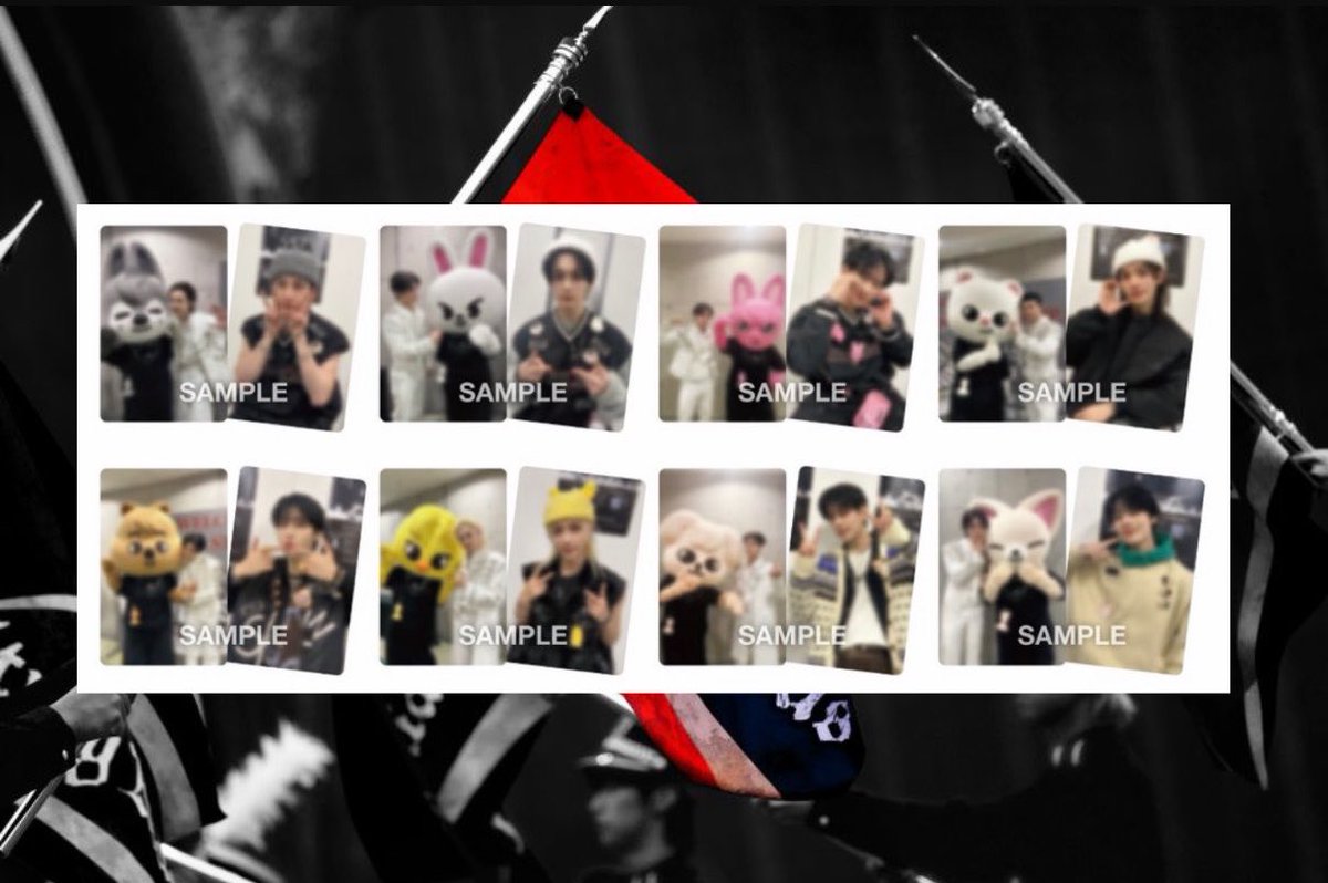 Stray Kids straykids スキズ Blu-ray dominATE JAPAN スタジアム