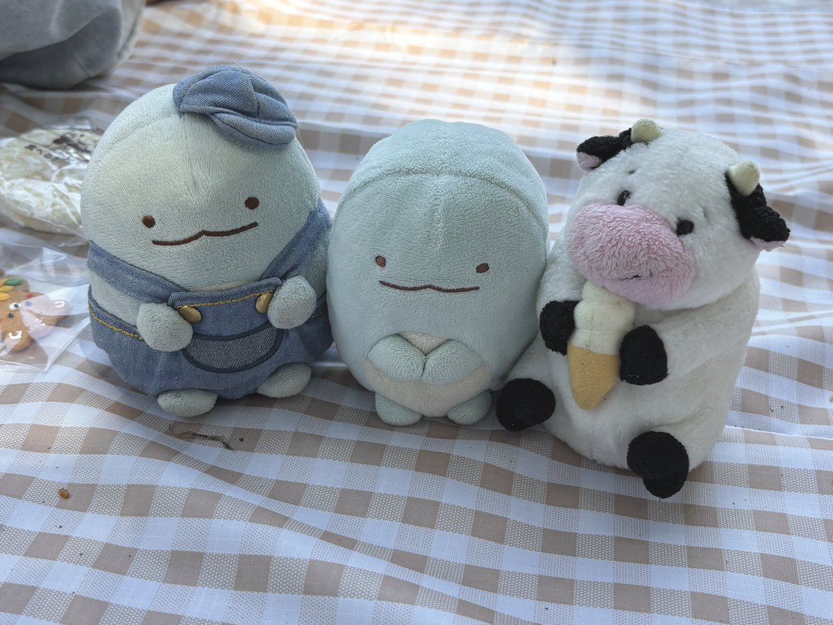 みー🧸 tweet media