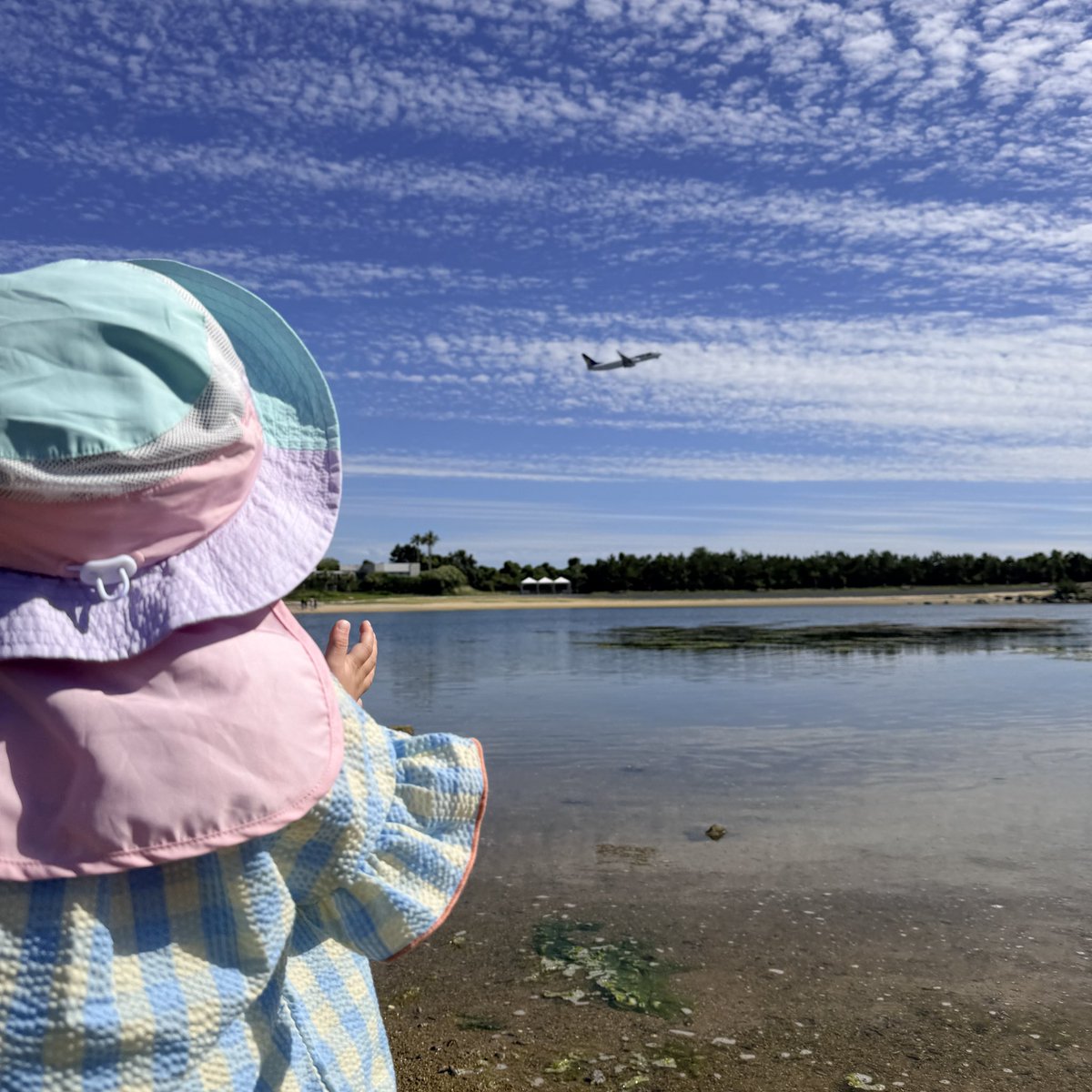 123ema123's tweet photo. 海🌊飛行機✈️ https://t.co/YdX9OPAaOf