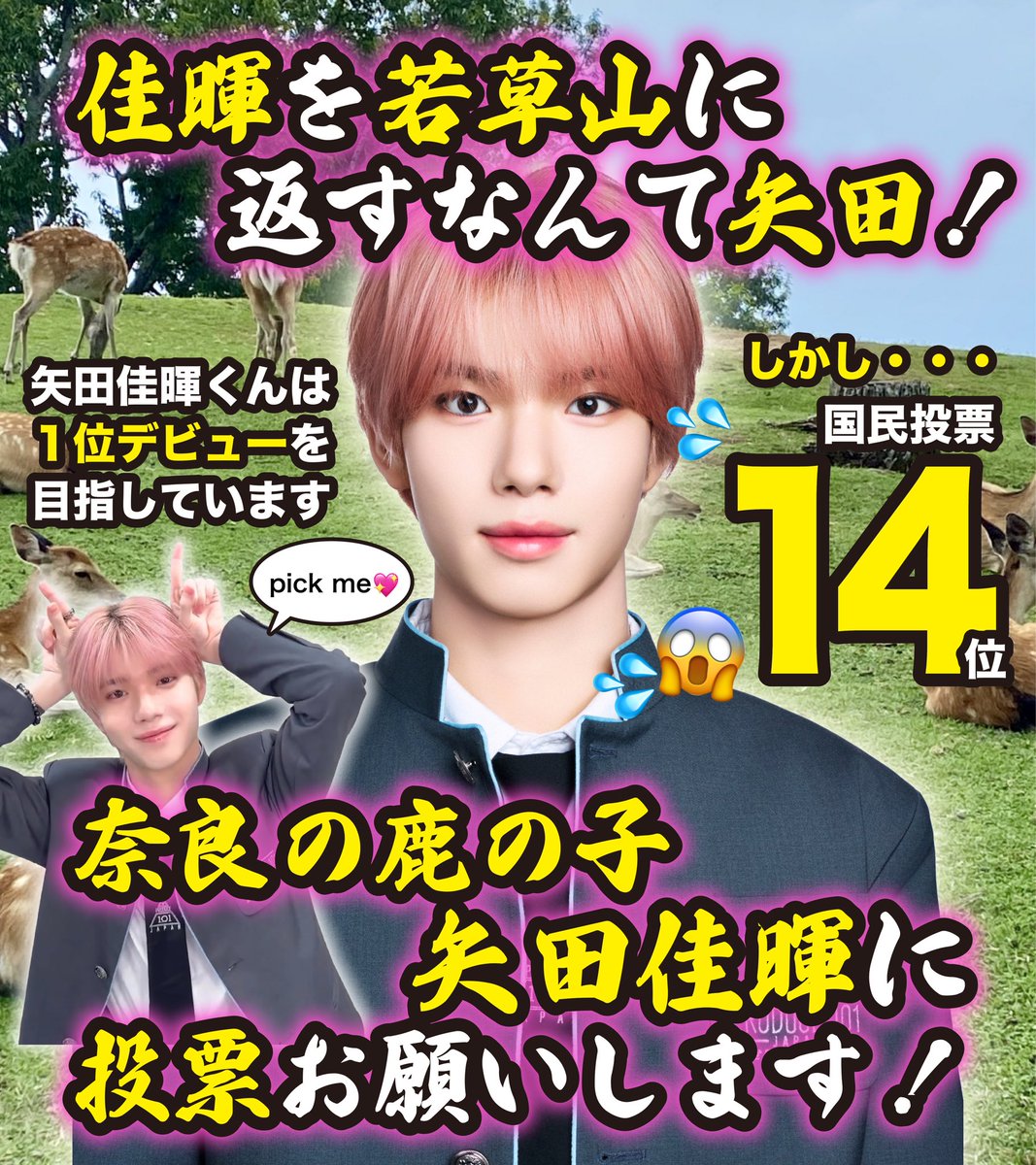 低燃費 tweet media