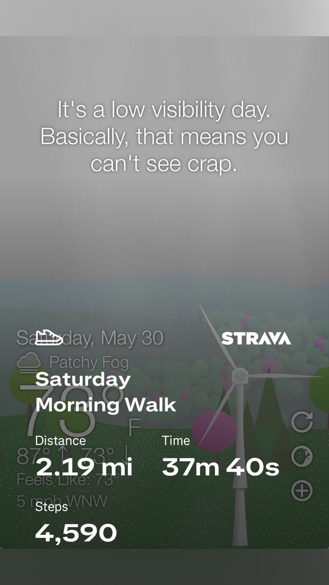 Floridaboiler's tweet photo. #awalkaday keeps the #cabinfever away #walkchat #whattheforecast #wtforecast https://t.co/dWn8GfPt41