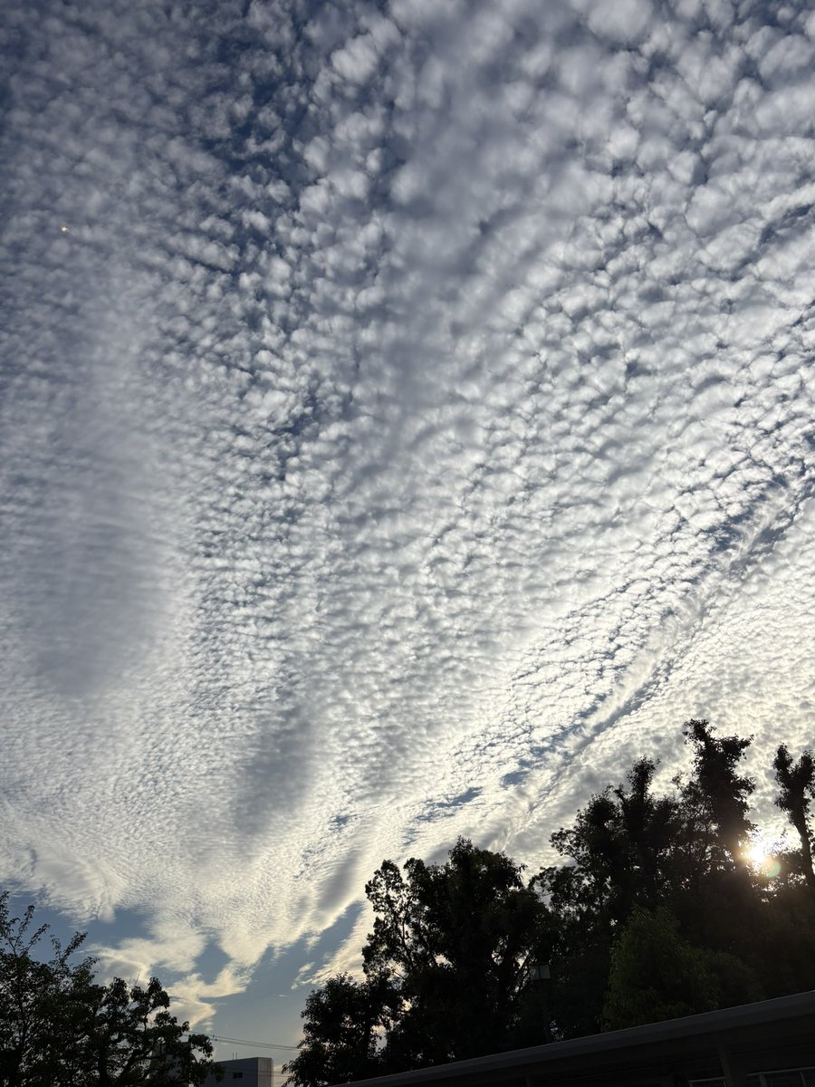 noch's tweet photo. 今日の空、ものすごくなかった？、 https://t.co/VPtRUBOlAd