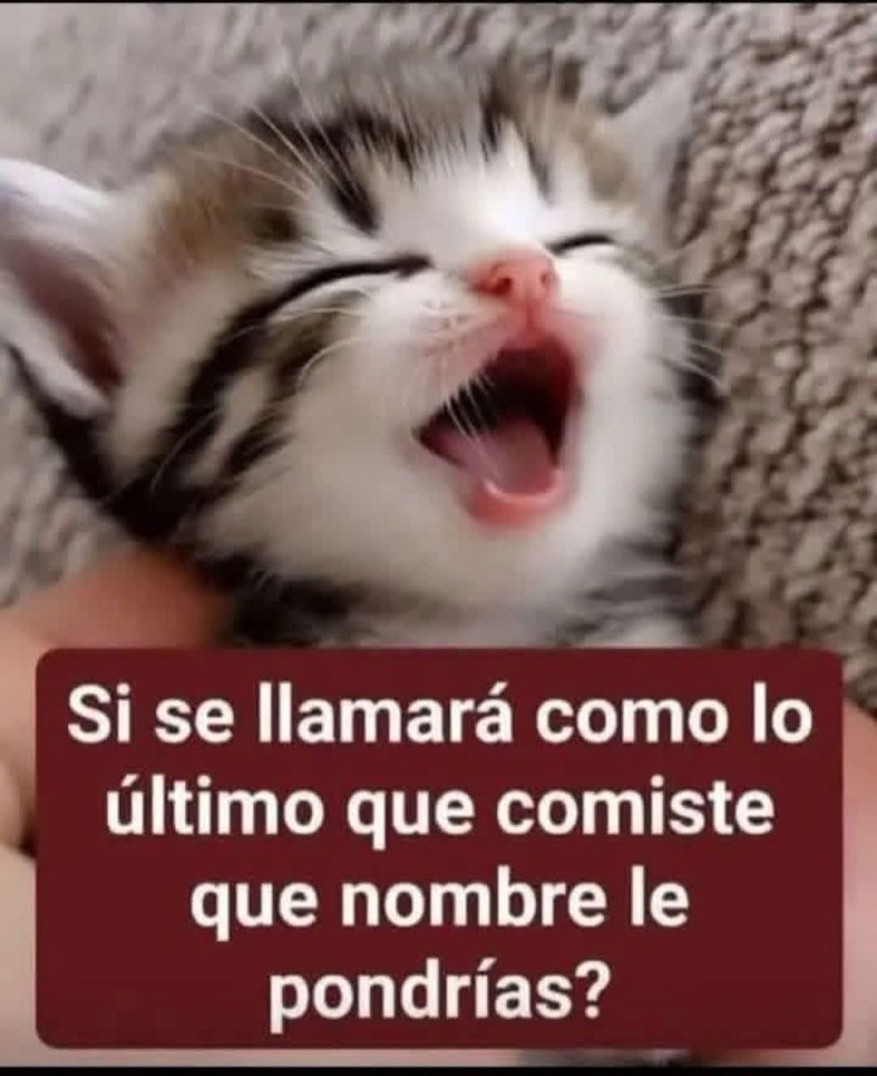 Marco A Escalante 🇲🇽 tweet media