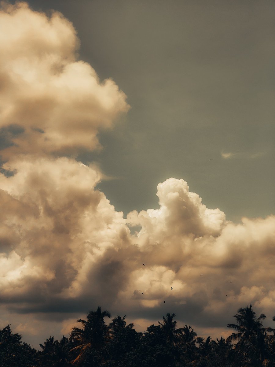 Alexender_12's tweet photo. Sky's are very soft ❤️

#sky #reach #GodMorning‌Saturday #live https://t.co/qIxTlkV1BY