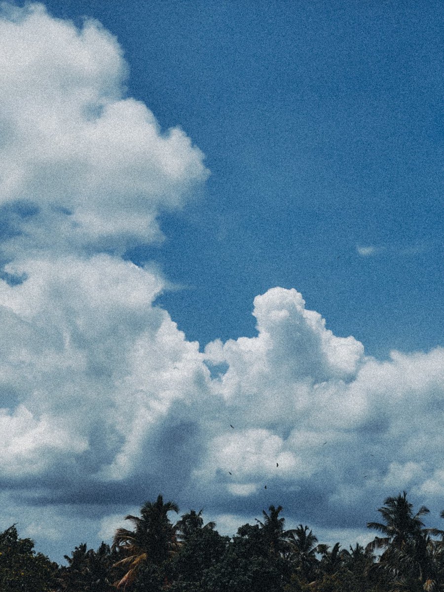 Alexender_12's tweet photo. Sky's are very soft ❤️

#sky #reach #GodMorning‌Saturday #live https://t.co/qIxTlkV1BY