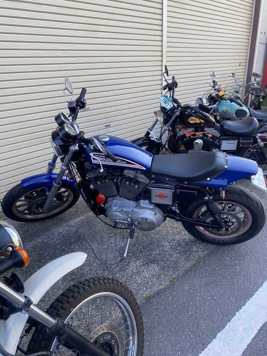 trysetubi's tweet photo. 250ccが欲しすぎてはいるが、
本音はやはり
1250ccハーレーのパンアメリカこそがオレが欲しいバイクだと思っている。
もしくはBMWのR12GSか。

xsr900は私にはサイズとか運転センスとかなんつーかたぶん合って無いと感じてはいる。
まだ乗るけど。

x350は良く出来てると思う。 https://t.co/rHgtHskAtt