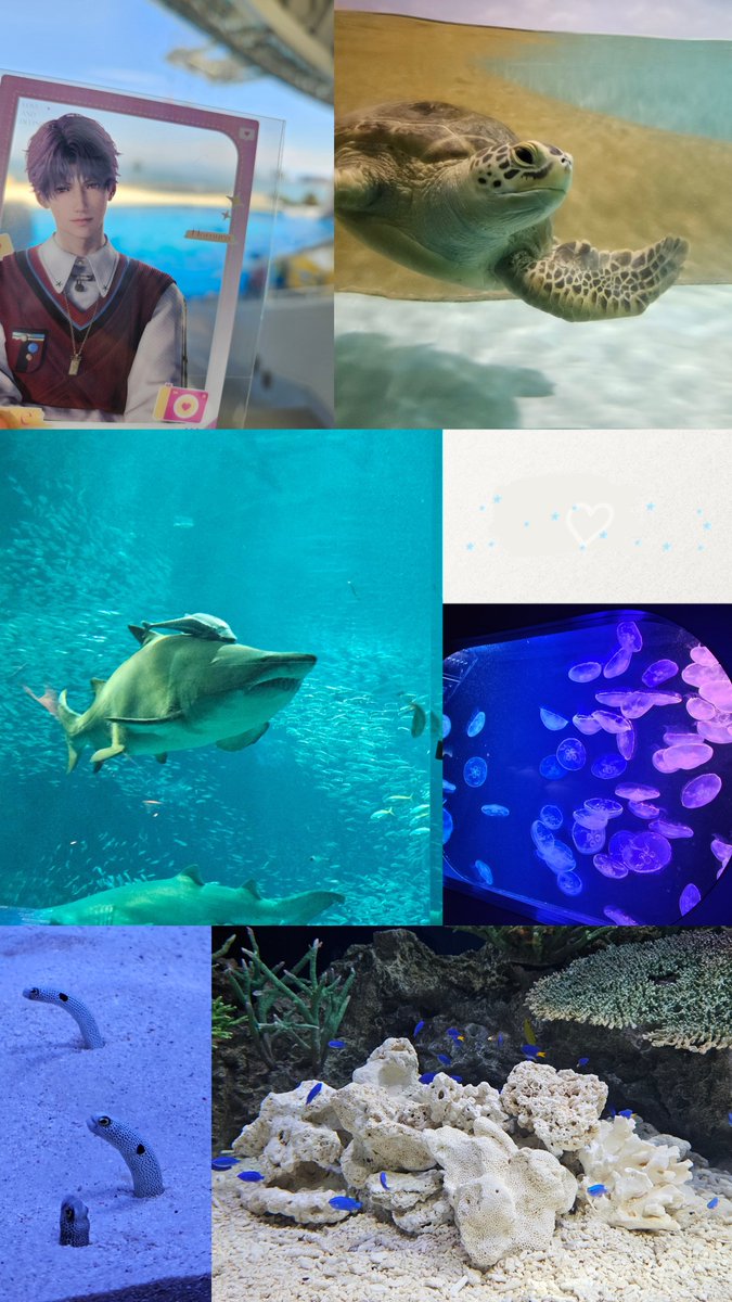 ryubsr_05's tweet photo. しゅーちゃんと恋深コラボカフェいってきた~♥️
そのあとは水族館デートしてきたよ😉🫶 https://t.co/vkGsIqg7gm