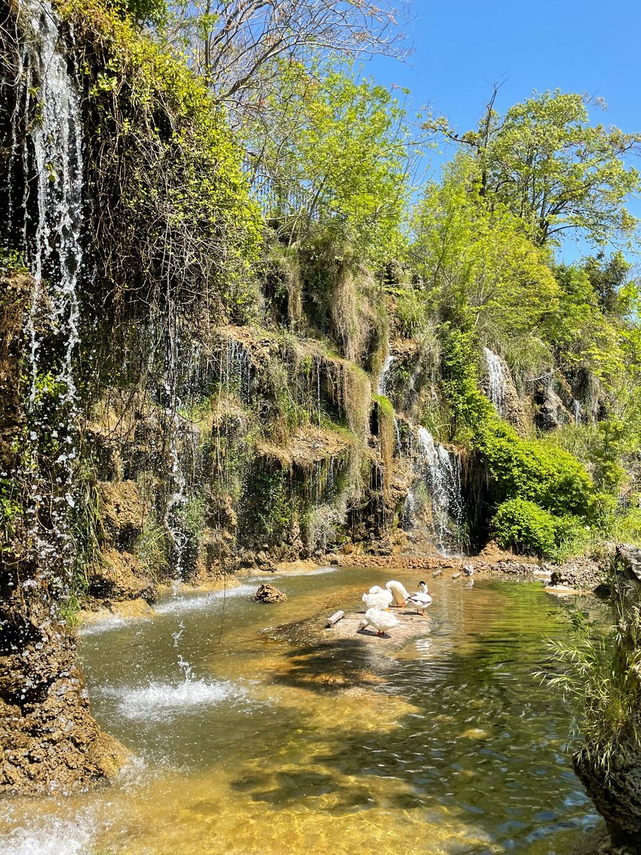 Mervemtalay's tweet photo. Bazen doğada bulursun  rengini... https://t.co/ljG4Pmxpyj
