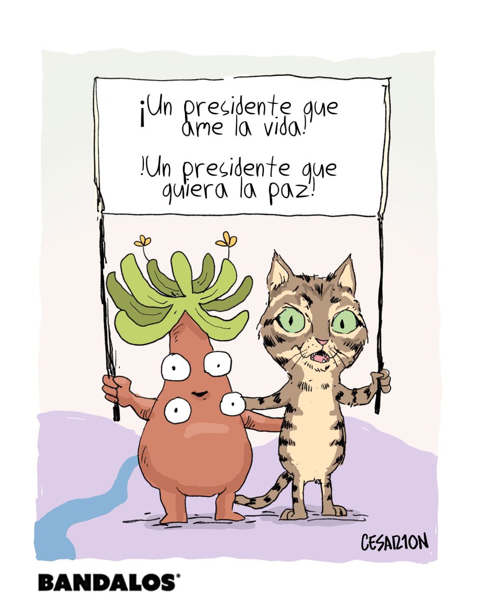 BANDALOS tweet media