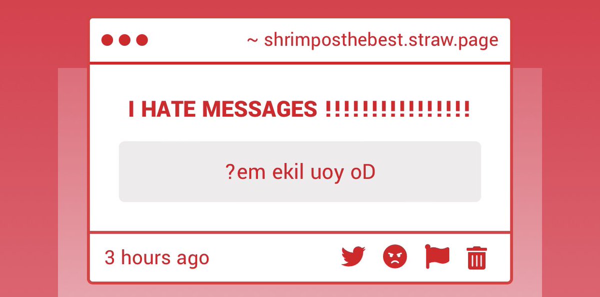 SHRIMPO tweet media