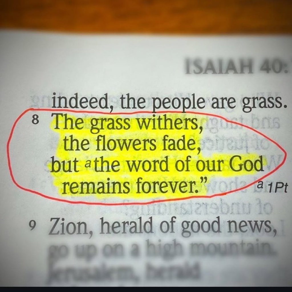 Bible 365 tweet media