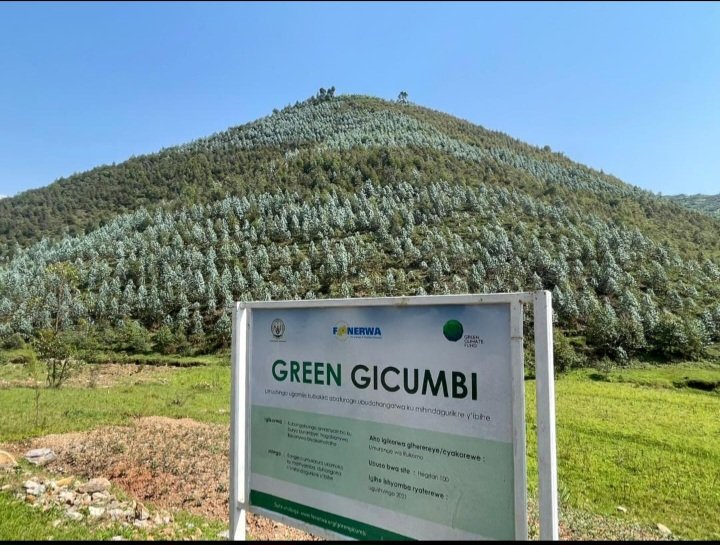 RusikaSEmmanuel's tweet photo. Did you know: @GreenGicumbi is a project that successfully reached its objectives of transforming community lives  as follows:1,450 ha of terraces for erosion control;50 ha of up land tea plantation;277 cows provided to households; 10k ha of land with Agroforestry trees. https://t.co/VdhWnkopg4