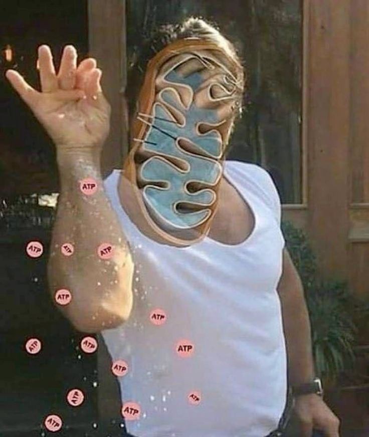 BasedBiohacker tweet media