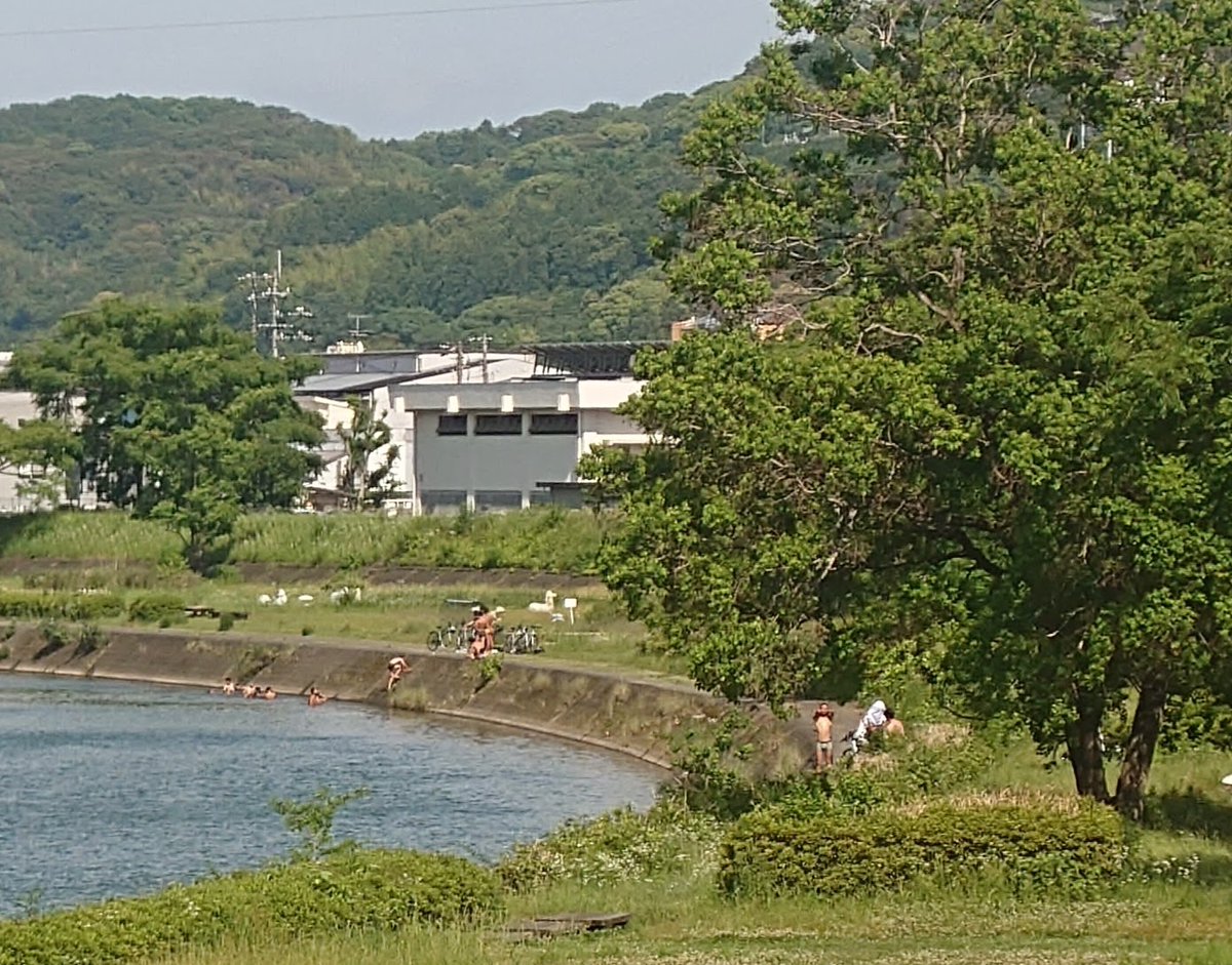 eyegate's tweet photo. 高知は真夏日？鏡川で泳ぎゆう。まだ5月ぞね https://t.co/40mp8b4Jnu