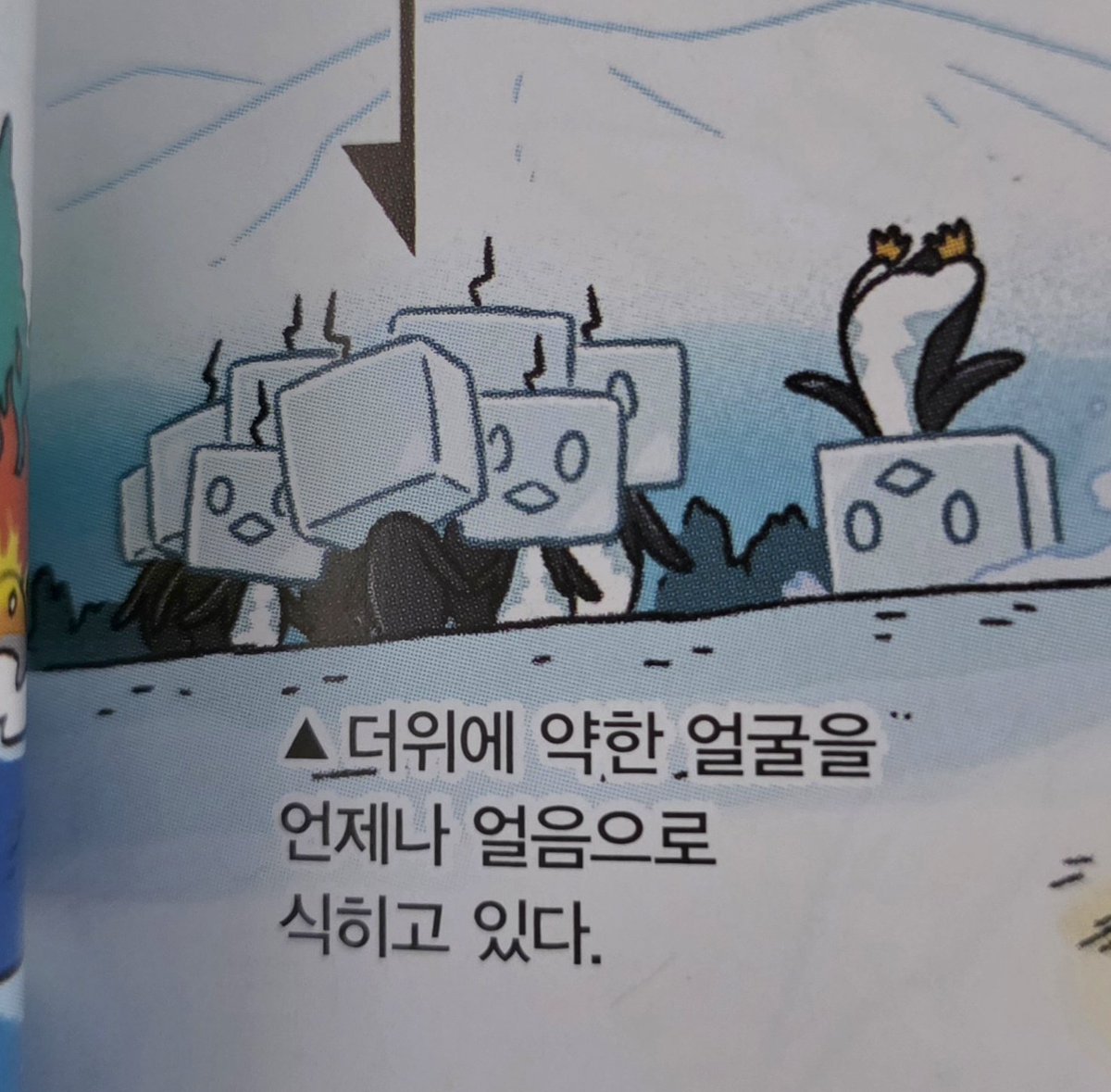 낭랑 tweet media