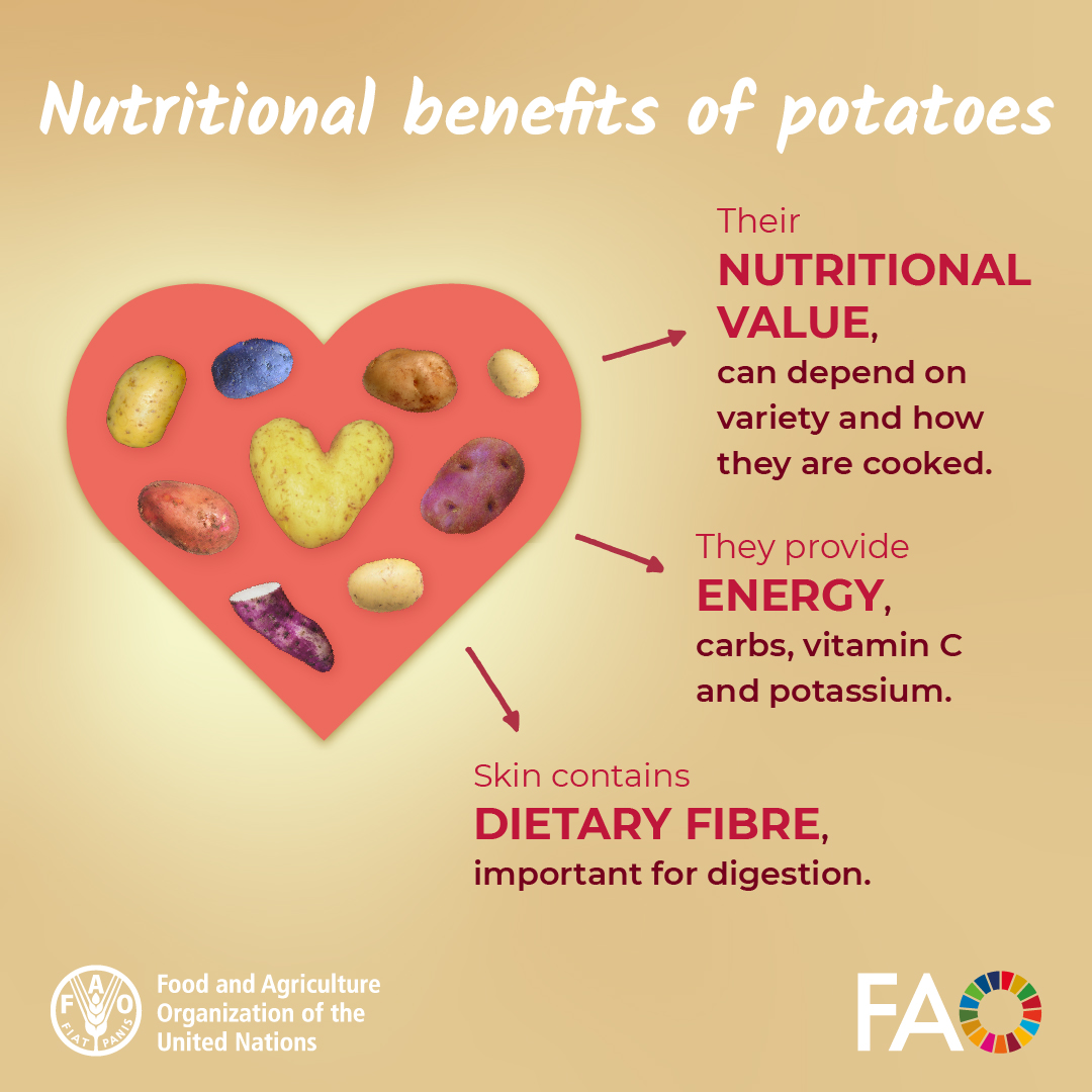FAO's tweet photo. 🥔 Potatoes are a great source of vitamin C, potassium and dietary fibre.

But their nutritional value also depends on the variety, how they’re grown, stored, processed and cooked.

 #InternationalDayOfPotato https://t.co/H5e0GZZKDg