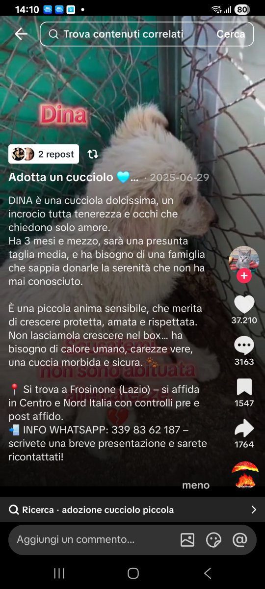 annina_cutillo's tweet photo. https://t.co/231ONvPAtG