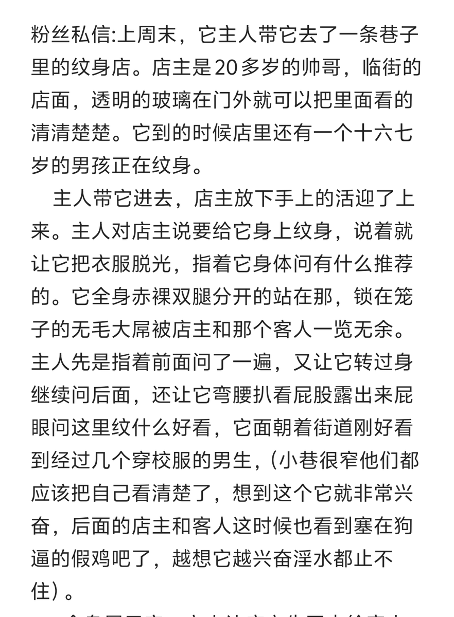 ATMshounuxianu's tweet photo. 粉丝私信:上周末，它主人带它去了一条巷子里的纹身店。店主是20多岁的帅哥，临街的店面，透明的玻璃在门外就可以把里面看的清清楚楚。它到的时候店里还有一个十六七岁的男孩正在纹身 https://t.co/D3LTopzOar