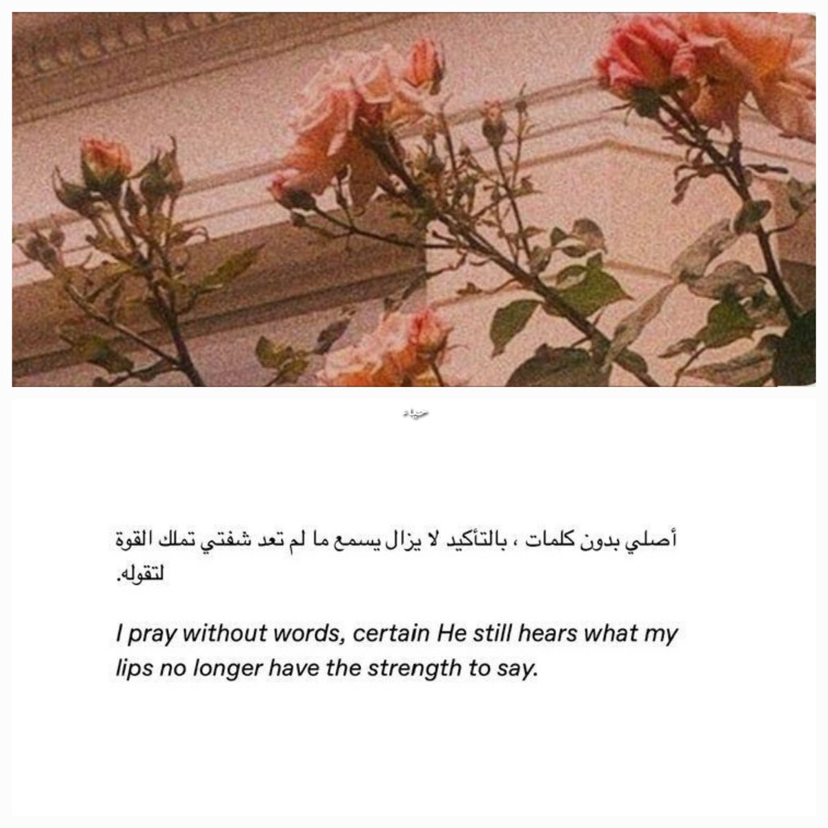 herqalb's tweet photo. https://t.co/GfXRjBvib8