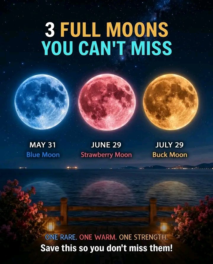 Sci_Nature0's tweet photo. Three unforgettable moons are about to light up the night sky. 🌕✨

From glowing blue skies to warm summer moonlight, each full moon brings its own beauty and atmosphere. Rare, colorful, and breathtaking — these are celestial moments worth watching.

🔵 May 31 — Blue Moon
A rare second full moon in a single month!

🌸 June 29 — Strawberry Moon
Named for the ripening of wild strawberries.

🦌 July 29 — Buck Moon
Named for the time when new antlers begin to grow on deer.

Save these dates and don’t miss the magic above! 🌌